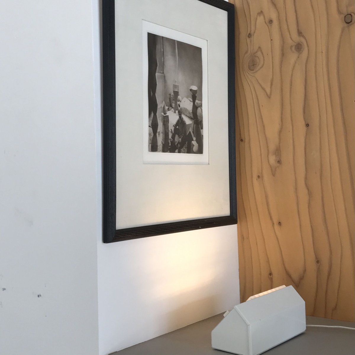 Model,9005 White / Hans-Agne Jakobsson/ ELIDUS