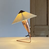N-30 “Chinese Woman”  Lamp  (Copper)/ Helena Frantova