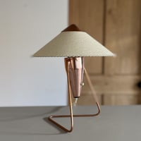 N-30 “Chinese Woman”  Lamp  (Copper)/ Helena Frantova
