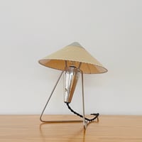 N-30 “Chinese Woman”Lamp-4  (Steel)/ Helena Frantova