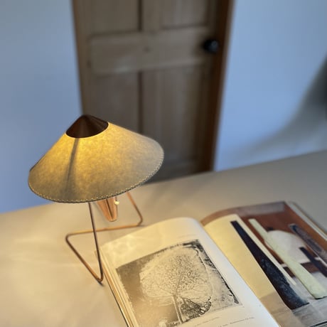 N-30 “Chinese Woman”  Lamp  (Copper)/ Helena Frantova