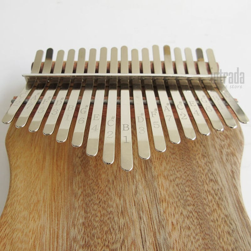 カリンバ ゲッコ Gecko カンフルウッド K17CAP | INTRADA