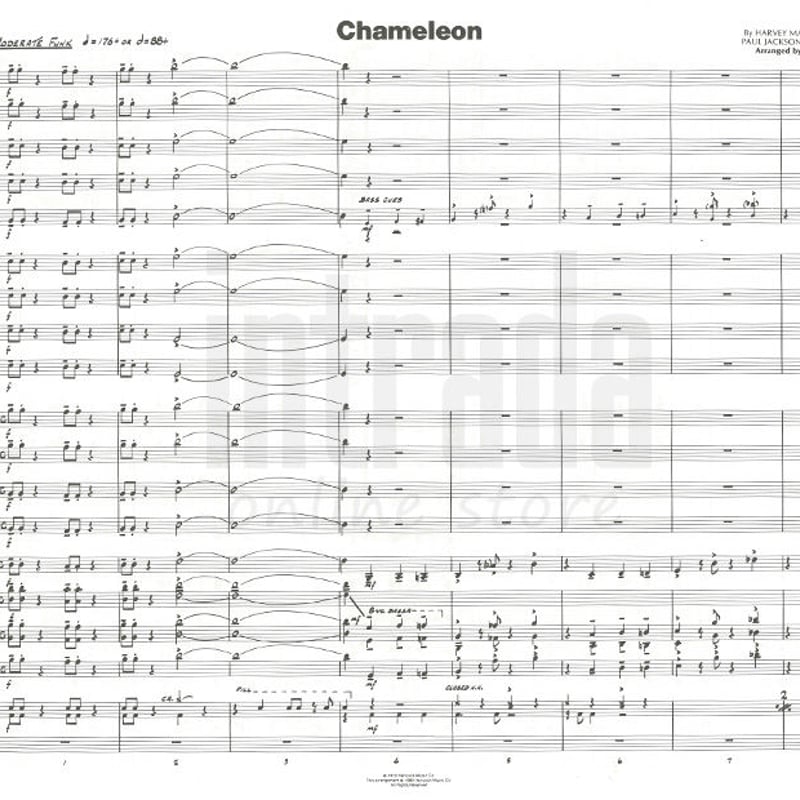 CHAMELEON / 「カメレオン」 ハービー・ハンコック | INTRADA
