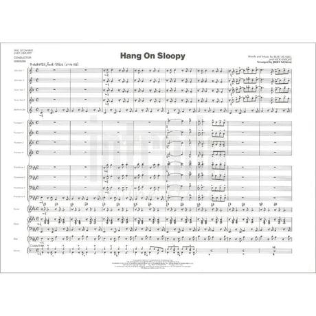 Hang On Sloopy / 「ハング・オン・スルーピー」 マッコイズ