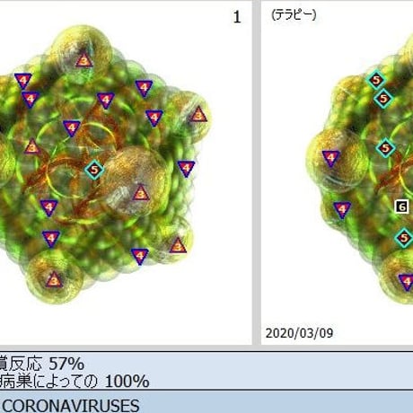 ホームセラピーシステム　NTC-811