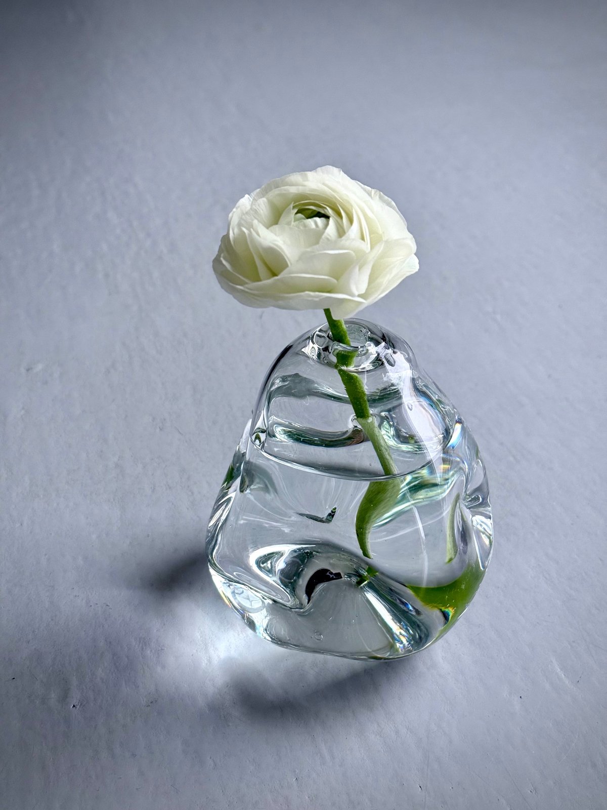 おおやぶみよ＿Papier（丸vase) | HIZUKI