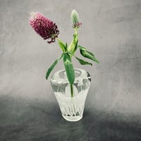 日月 hizuki おおやぶみよさん　モールリーフプレート　コンポート　新品 おおやぶみよ＿モールリーフプレート | HIZUKI