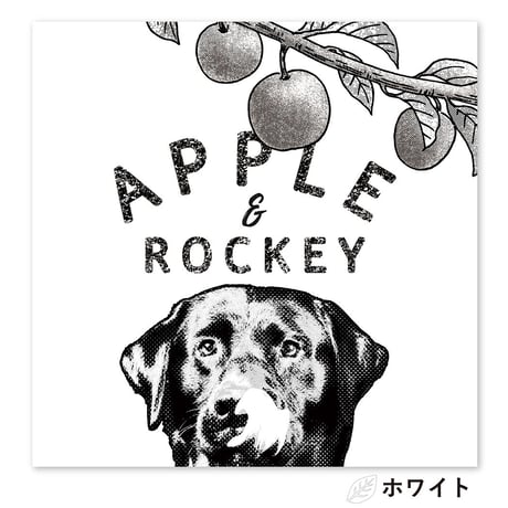 Apple and me （リンゴと僕）　S4サイズ（33.3×33.3cm）