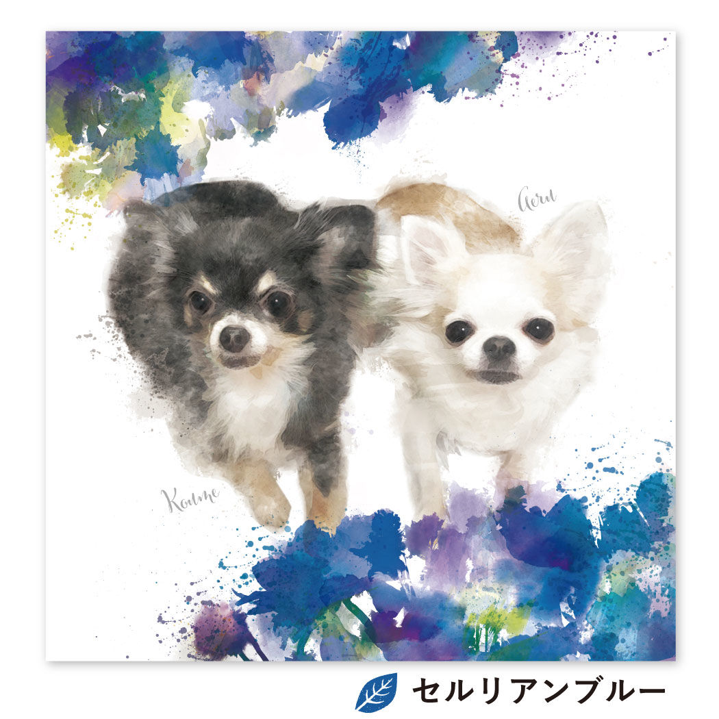 Blossom（ブロッサム） S0サイズ（18.0×18.0cm） | BOTANIPET
