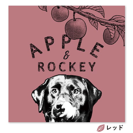 Apple and me （リンゴと僕）　S4サイズ（33.3×33.3cm）
