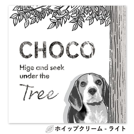 cachu cachu（カシュカシュ）　S3サイズ（27.3×27.3cm）×2枚