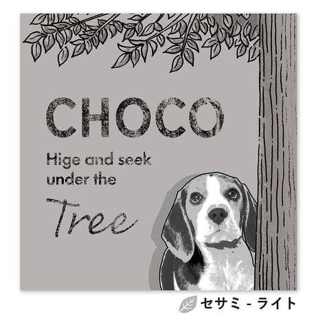 cachu cachu（カシュカシュ）　S3サイズ（27.3×27.3cm）×2枚