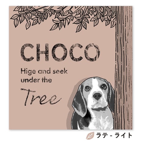 cachu cachu（カシュカシュ）　S3サイズ（27.3×27.3cm）×2枚