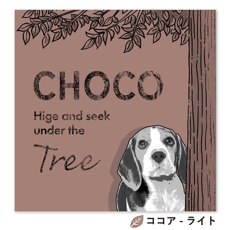 cachu cachu（カシュカシュ）　S3サイズ（27.3×27.3cm）×2枚