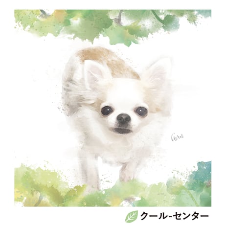 Blossom Connect （ブロッサム コネクト）　S0サイズ（18.0×18.0cm）×3枚