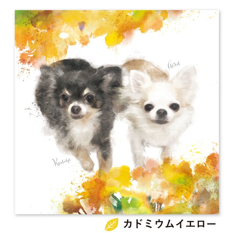 Blossom（ブロッサム） S3サイズ（27.3×27.3cm） | BOTANIPET
