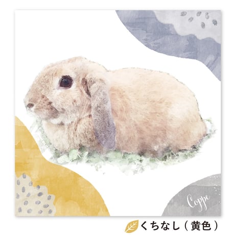 Grace （グレース）　S0サイズ（18.0×18.0cm）  