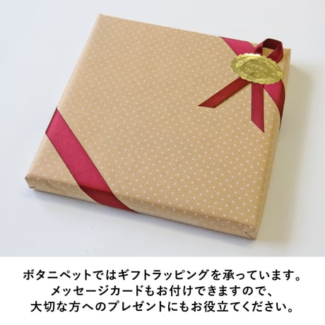 Blossom（ブロッサム）　S3サイズ（27.3×27.3cm）