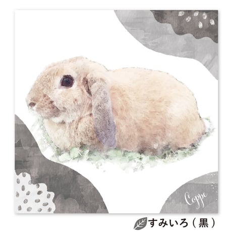 Grace （グレース）　S0サイズ（18.0×18.0cm）  