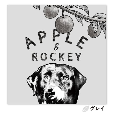 Apple and me （リンゴと僕）　S3サイズ（27.3×27.3cm）