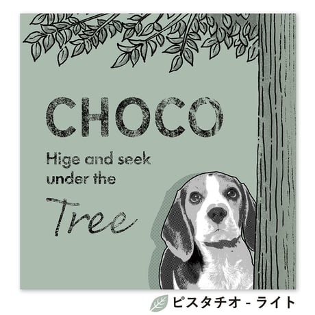 cachu cachu（カシュカシュ）　S3サイズ（27.3×27.3cm）×2枚