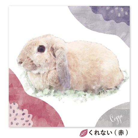 Grace （グレース）　S4サイズ（33.3×33.3cm） 