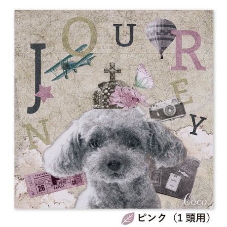 Journey（ジャーニー ）　S0サイズ（18.0×18.0cm）