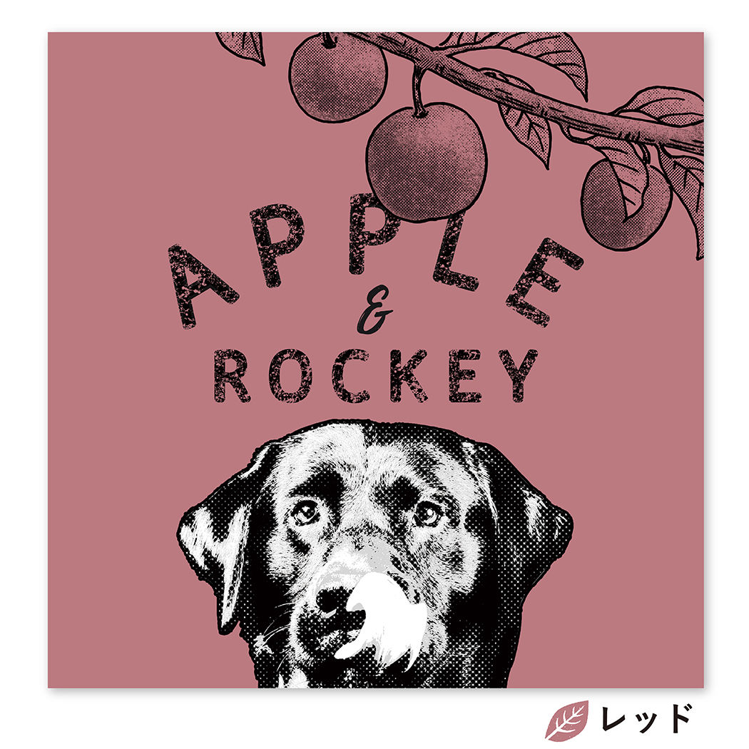 Apple and me （リンゴと僕） S0サイズ（18.0×18.0cm） | BOTAN