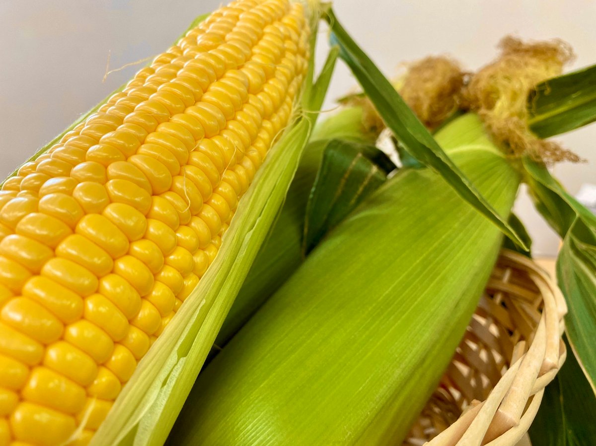 とうもろこし様 リクエスト 2点 まとめ商品 3aa05cf7ba8dbc6c8e082ab202265f