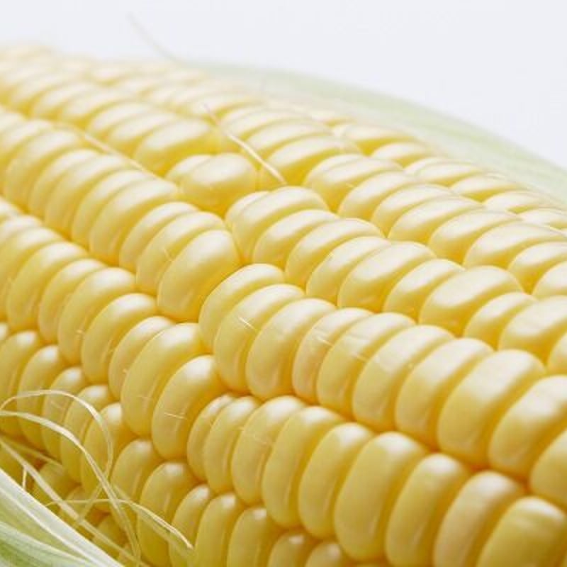 朝採り露地とうもろこし めぐみゴールド10本セット | ほなみマルシェ