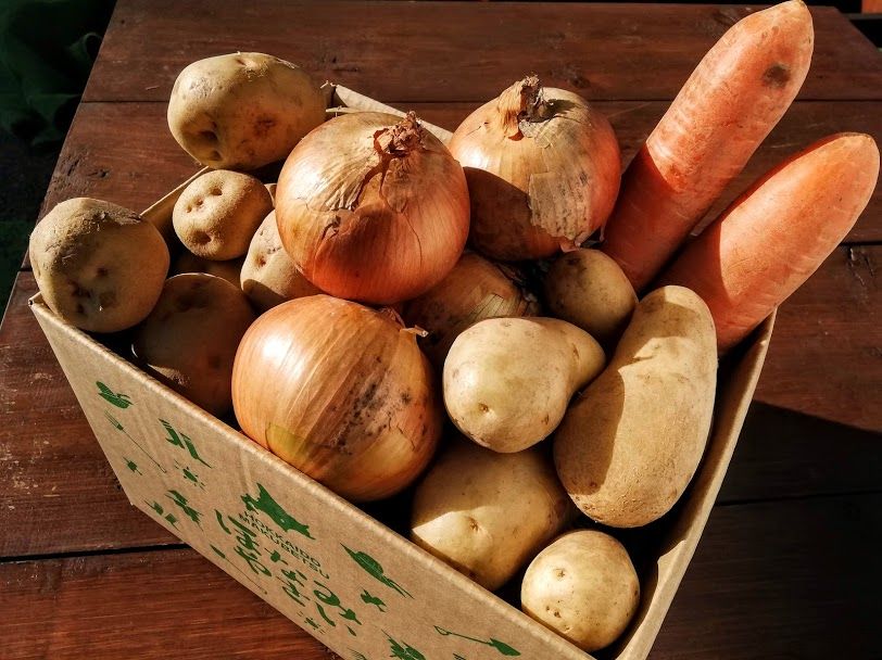 十勝野菜セット 小 贈答用にもオススメ！ | ほなみマルシェ