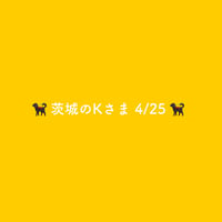 🐕‍🦺茨城のKさま4/25🐕‍🦺