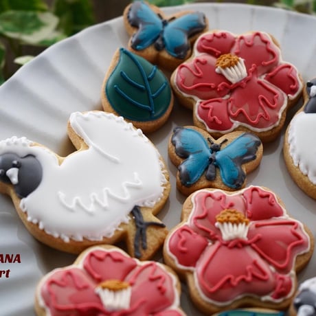 🍪見本色々(プチギフト)🍪