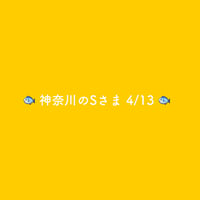 🐟 神奈川のSさま 4/13 🐟