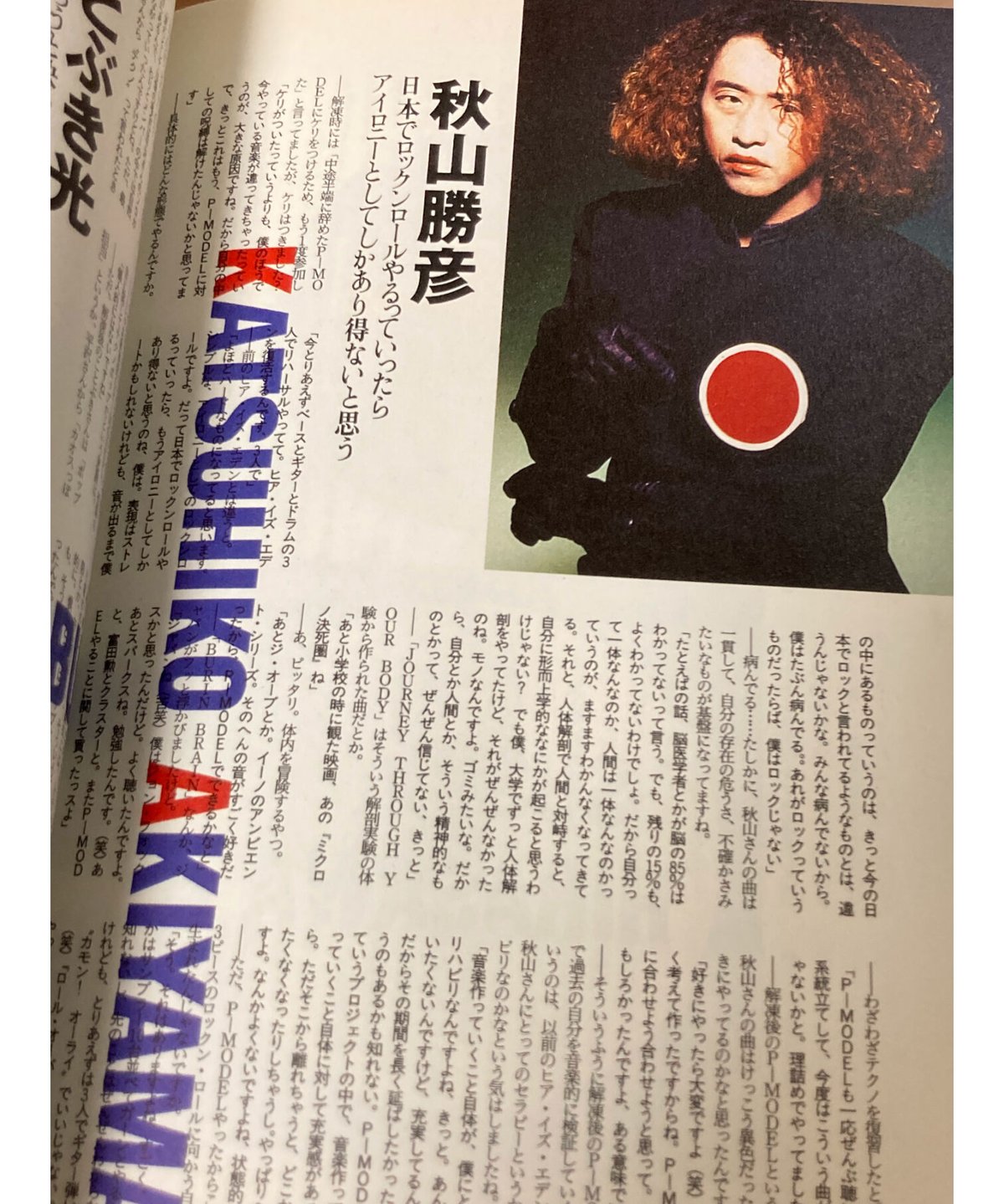 ピコエンタテイメント vol.1&vol.2 P-MODEL□ピコエンタテインメントVol.1+2□2冊 | コトナ書房