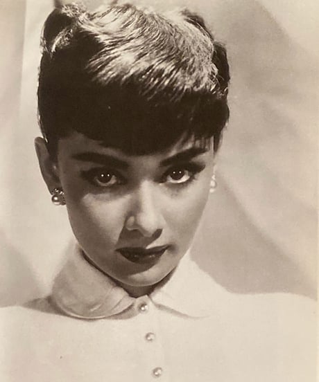SCREEN Photo Album Series■My Fair Audrey■