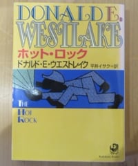 平沢進□時空の水ツアーチラシ□1989年 | コトナ書房