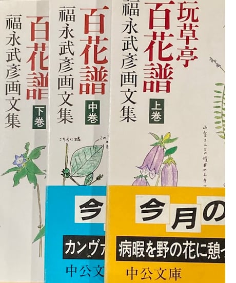 福永武彦■玩草亭百花譜 福永武彦画文集 上中下全3冊■