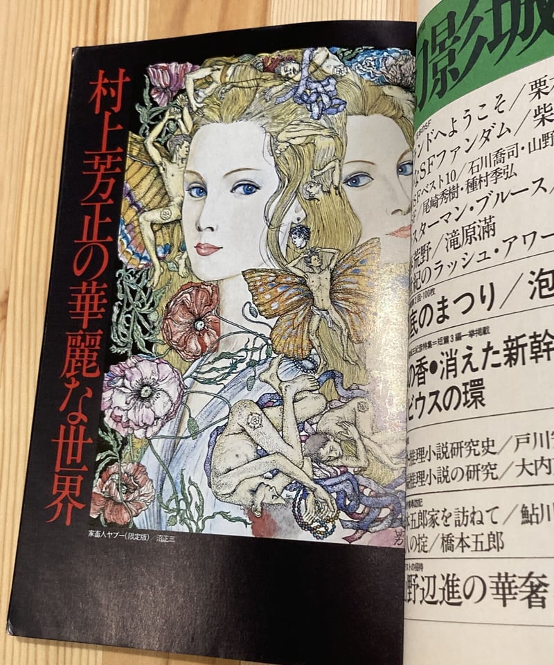 月蝕領崩壊 中井英夫 立風書房 初版極美 月蝕領宣言 中井英夫 【