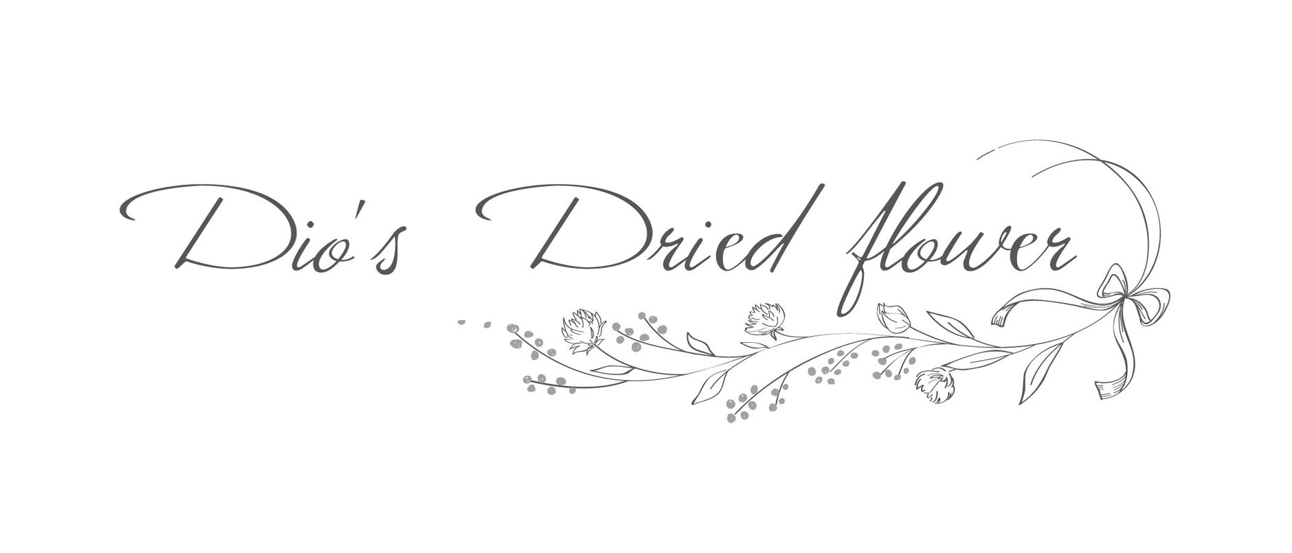 Dio's  Dried flower