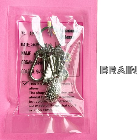 Jangly Organ Keychain/metallic