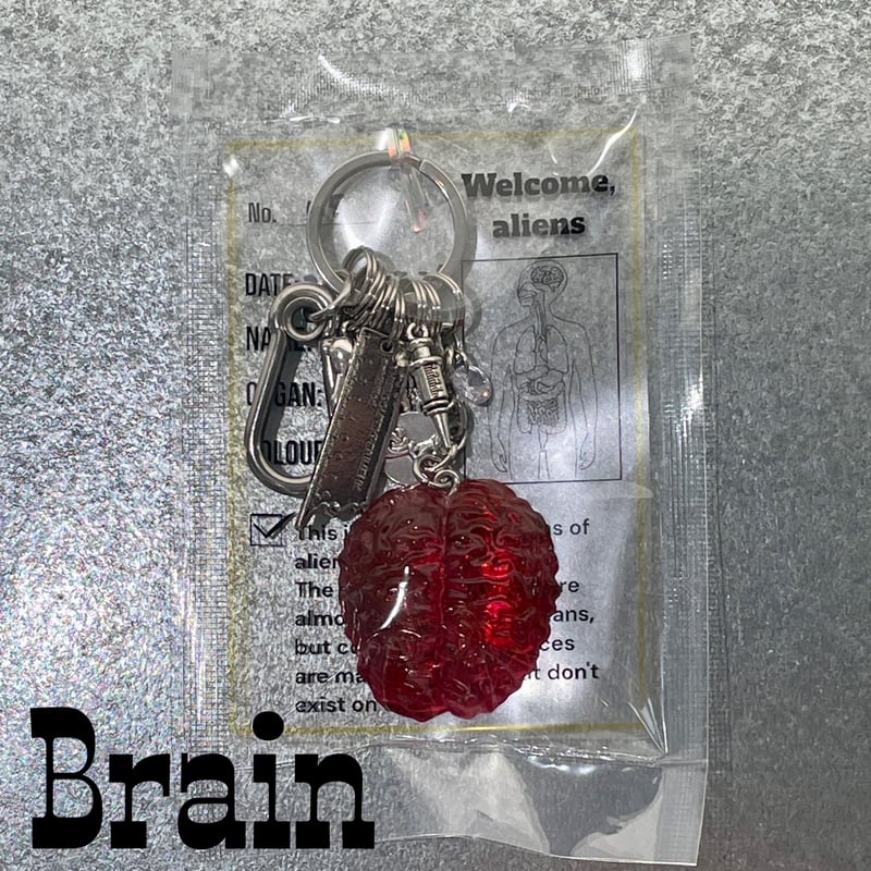 Jangly Organ Keychain/colour | dolor
