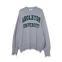 FAUX SWEATSHIRT KNIT / gray
