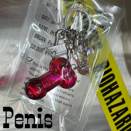 Jangly Organ Keychain/colour