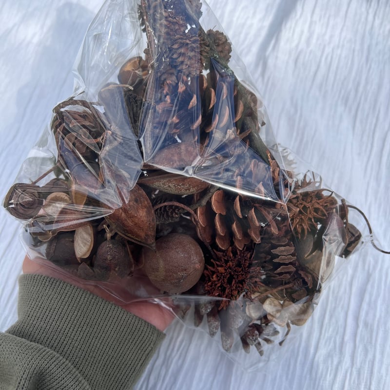 木ノ実詰め合わせ | A /garden