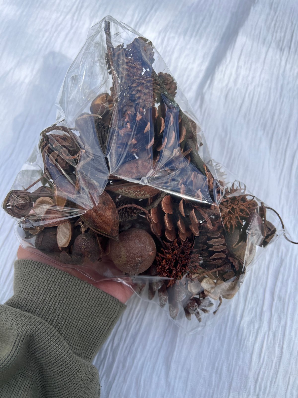 小さな木の実の詰め合わせ 759 小さな木の実の詰め合わせ 759 - メルカリ