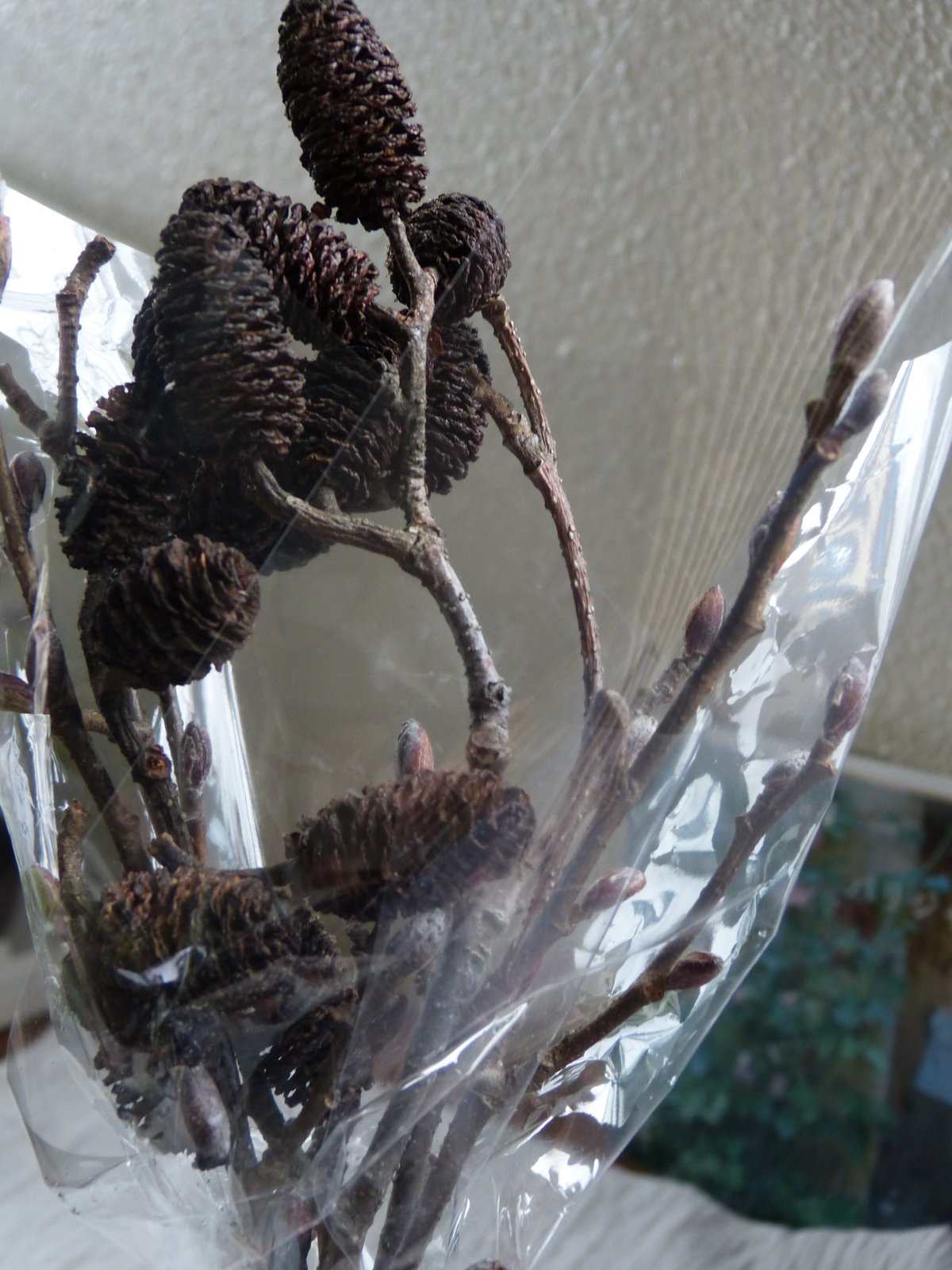 数種類の針葉樹とベルギーナッツやヤシャブシを束ねた テーブル