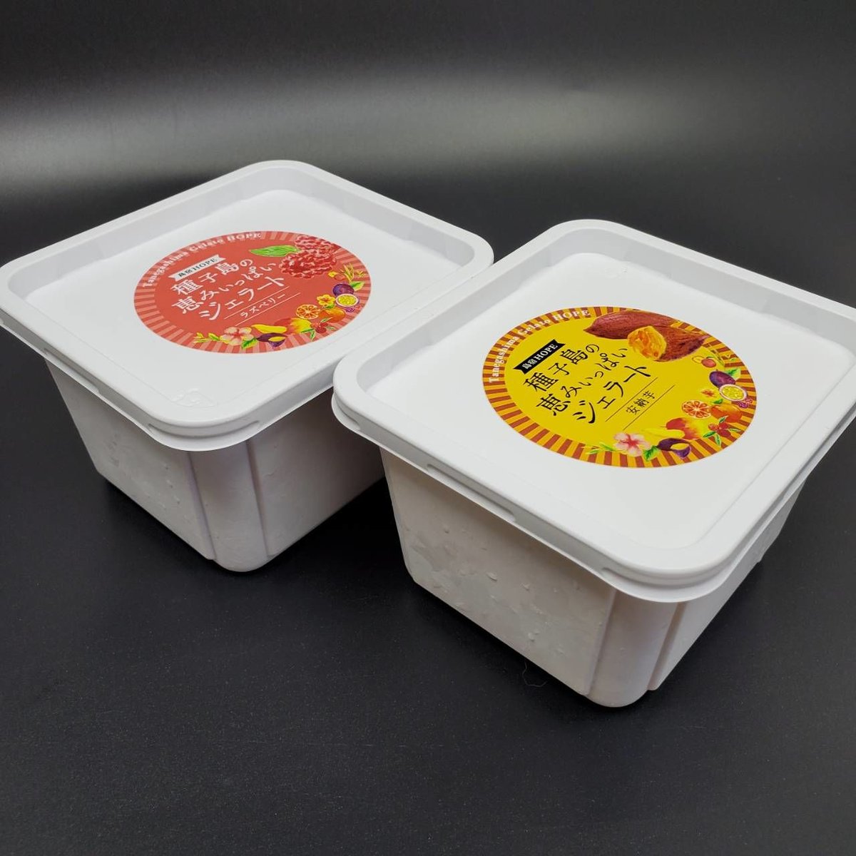 種子島の恵みジェラート大容量500㎖×2個セット | 種子島ジェラートHOPE