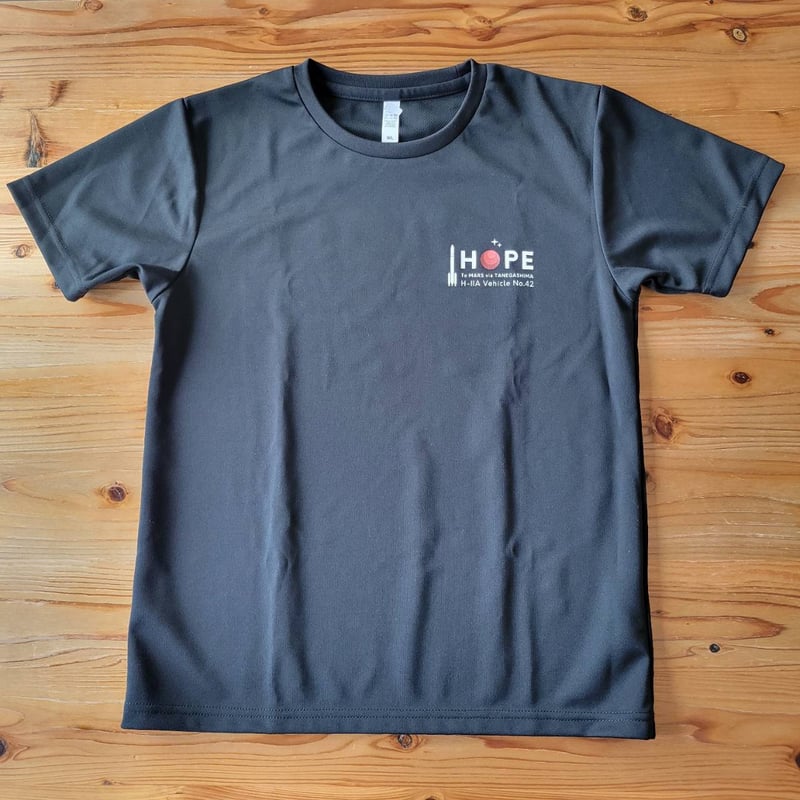 IO THE HOPE 2024 Tシャツ hiphop Lサイズ　新品 IO THE HOPE 2024 Tシャツ hiphop Lサイズ 新品 ア ベイシング エイプ®」×¥