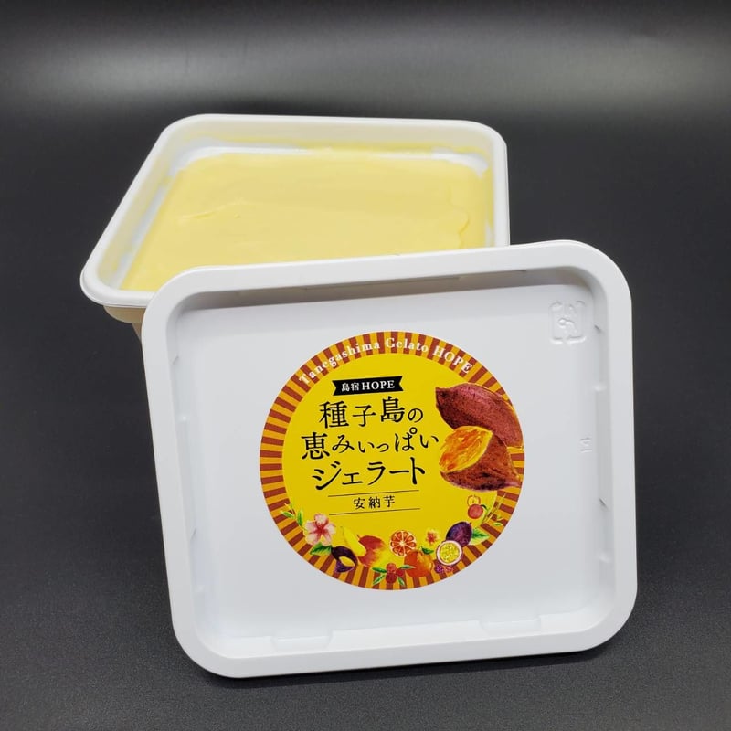 種子島の恵みジェラート大容量500㎖×2個セット | 種子島ジェラートHOPE